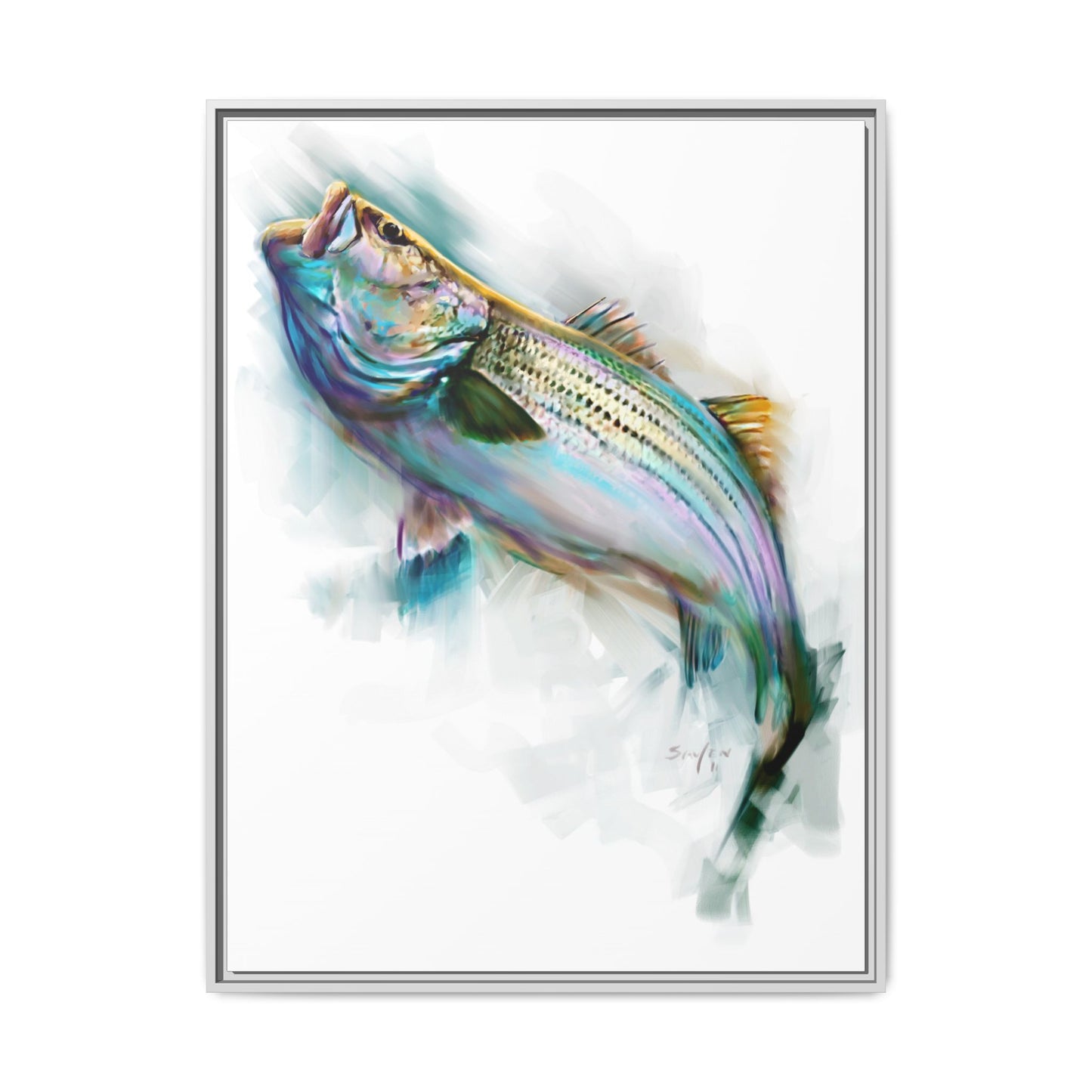 Striper Rise — Striped Bass Framed Art Print by Mike Savlen