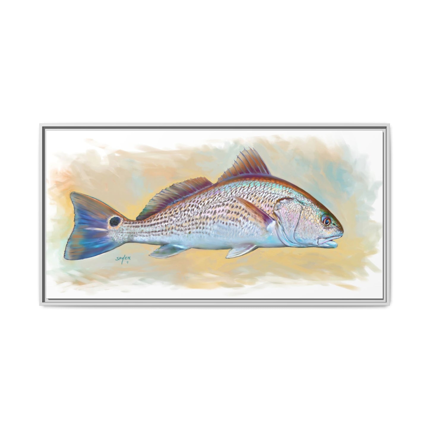 Redfish Illustration — Coastal Gamefish Framed Canvas Art by Mike Savlen