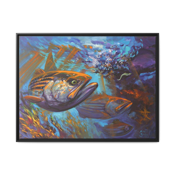 Aggressive Intentions — Striped Bass - Framed Canvas Print - Love My Oceans Canvas