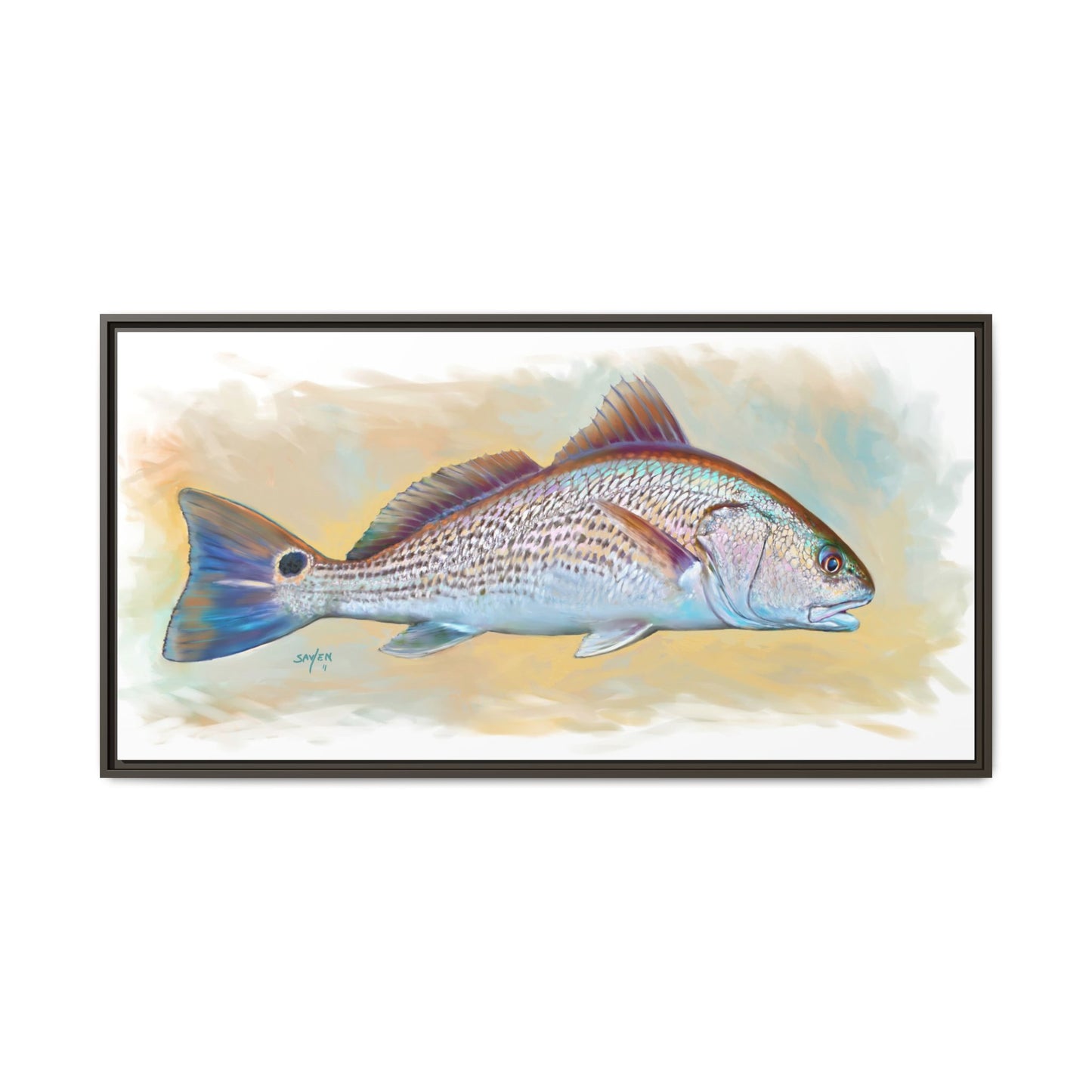 Redfish Illustration — Coastal Gamefish Framed Canvas Art by Mike Savlen