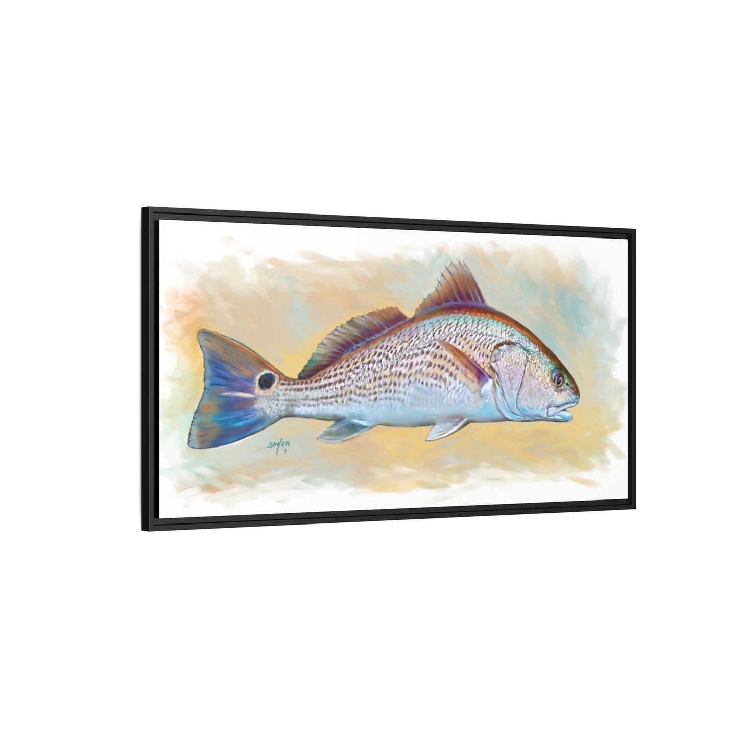 Redfish Illustration — Coastal Gamefish Framed Canvas Art by Mike Savlen