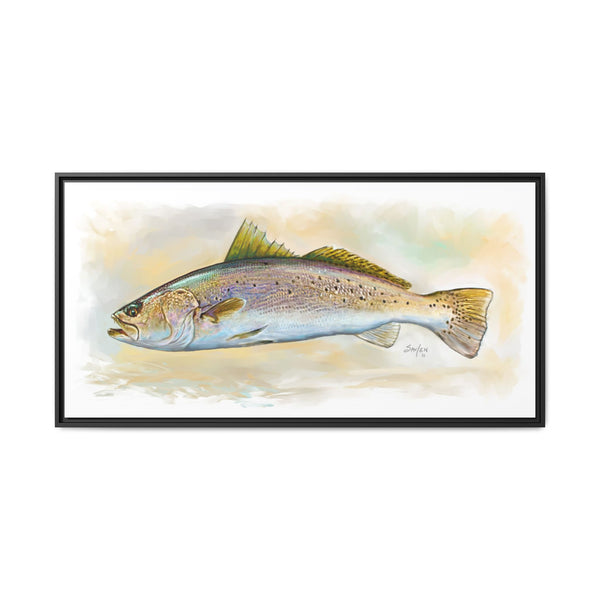 Speckled Trout Illustration — Framed Canvas Print - Love My Oceans Canvas