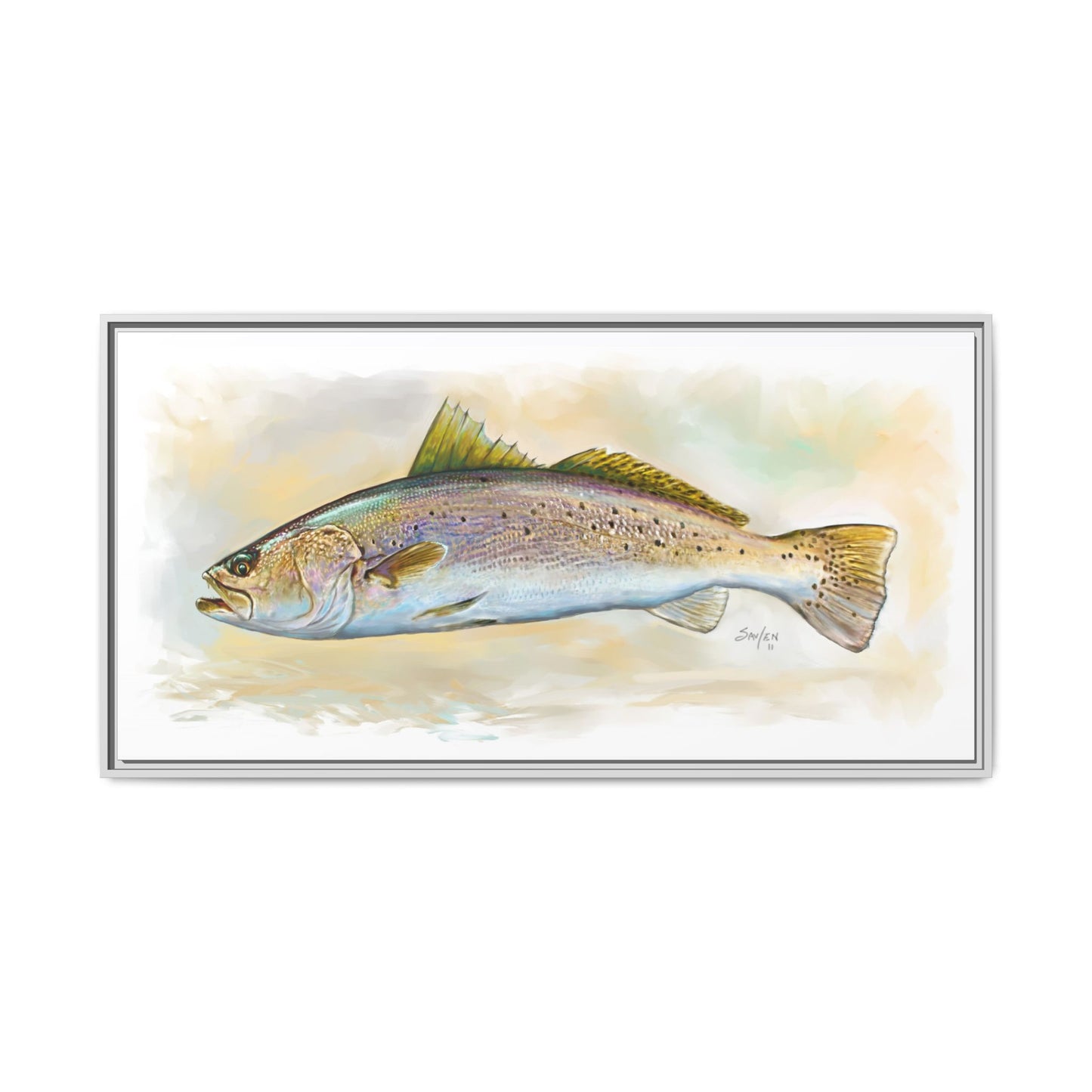 Speckled Trout Illustration — Coastal Gamefish Framed Canvas Art by Mike Savlen